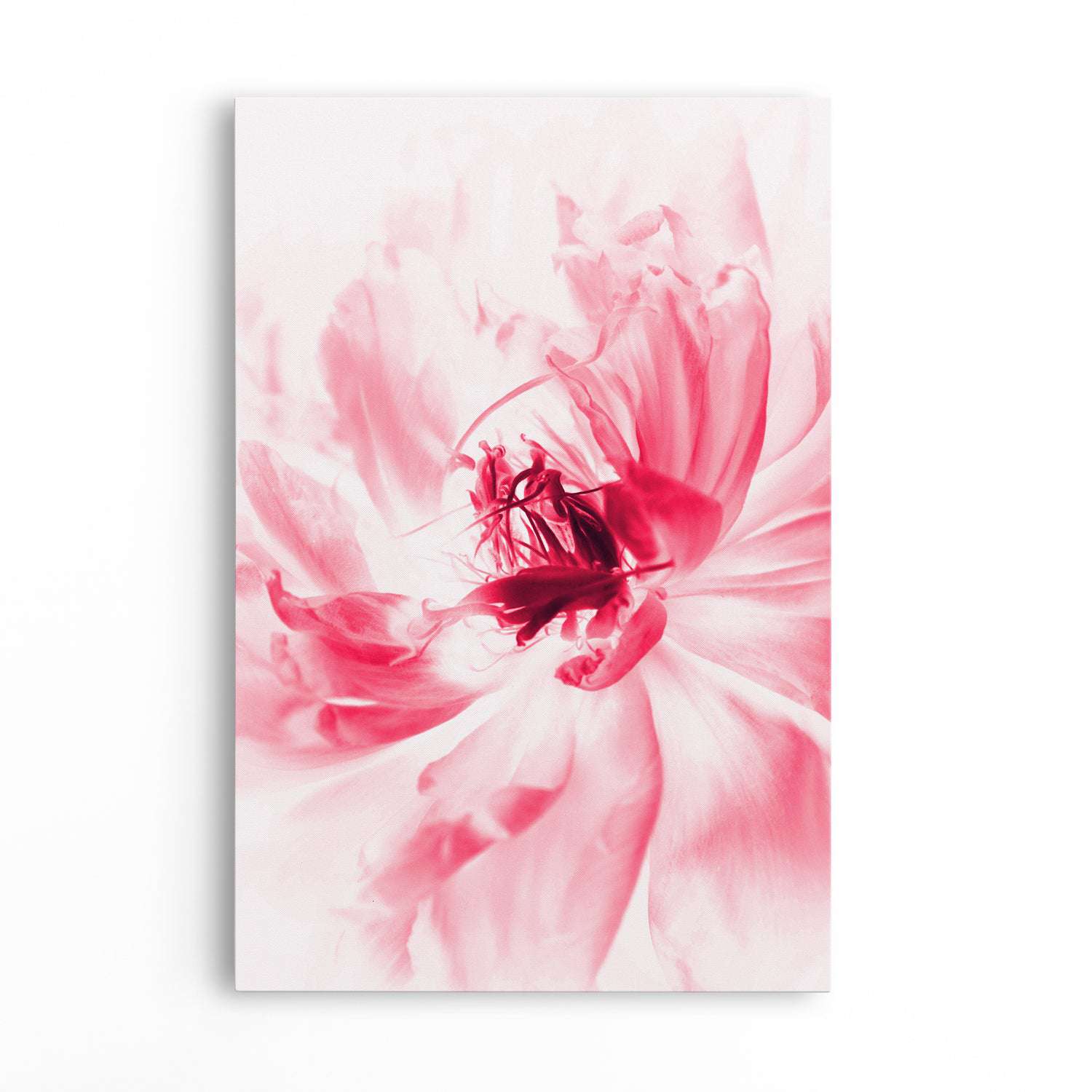 Peony Flower Painting, Pink Peony Canvas Wall Art