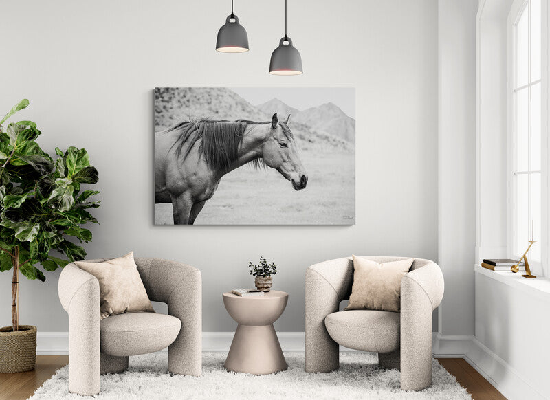 Black and White Canvas Art: Timeless Elegance for Your Home