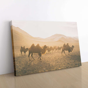 Horses At Sunset Canvas Wido 