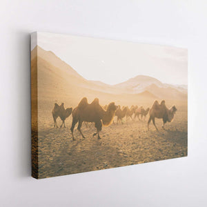 Horses At Sunset Canvas Wido 