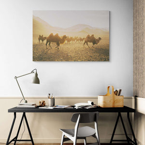 Horses At Sunset Canvas Wido 