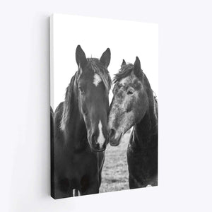 Horses At Sunset Canvas Wido 