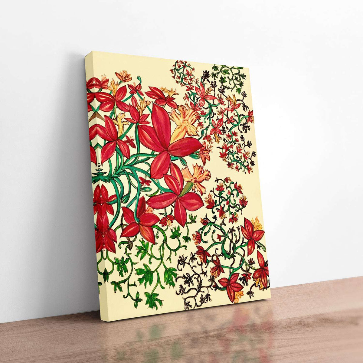 Elanora Crucifix Orchid