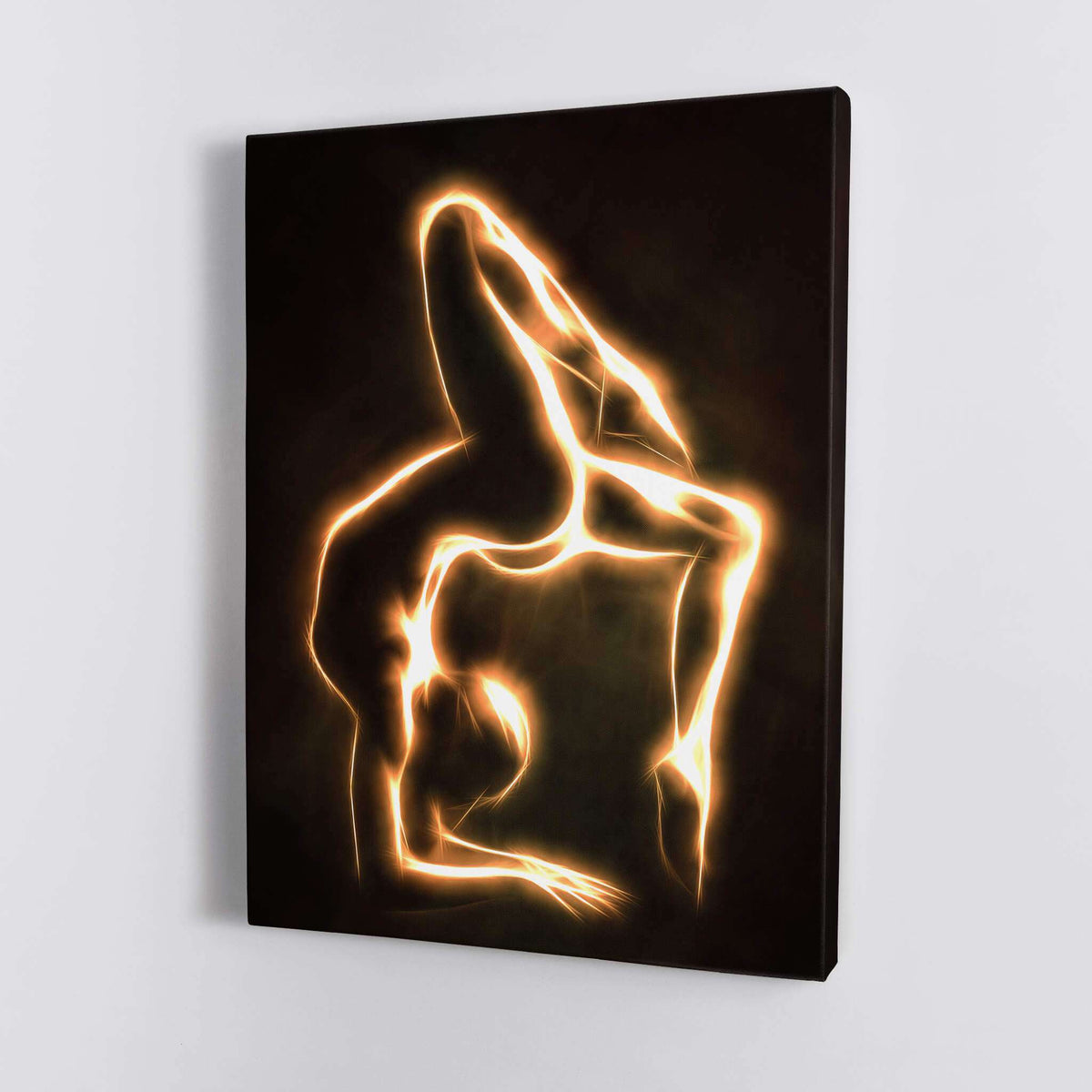 The Wheel Canvas Wido 