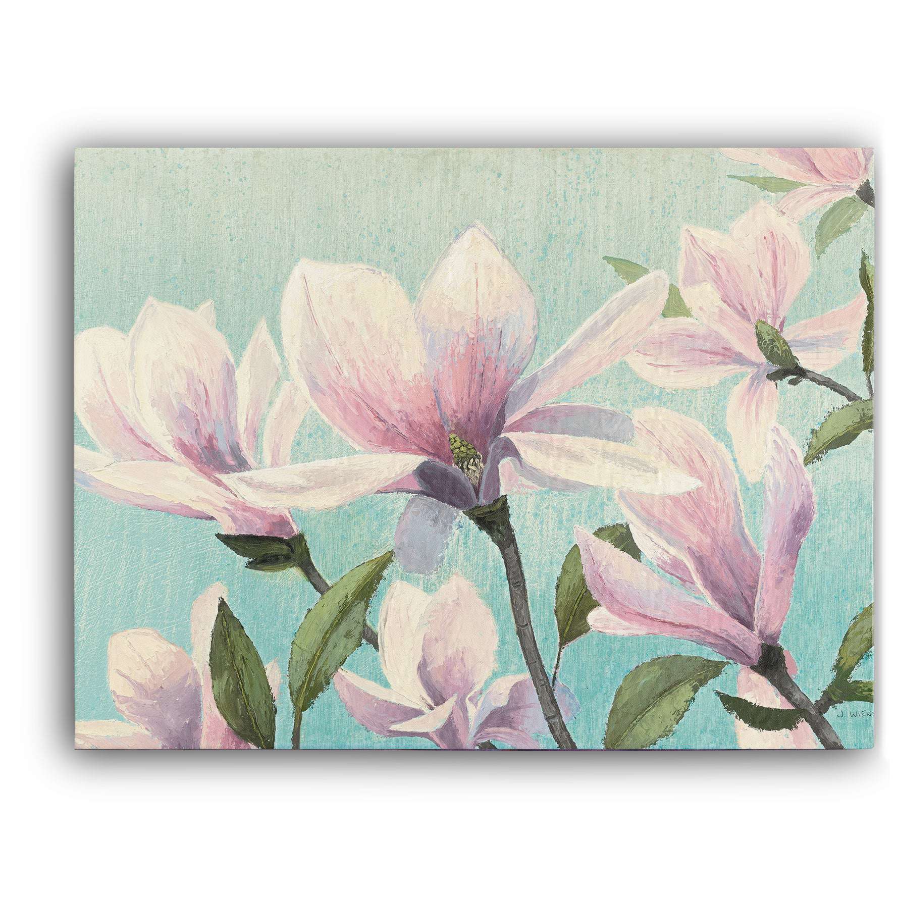 Southern Blossoms