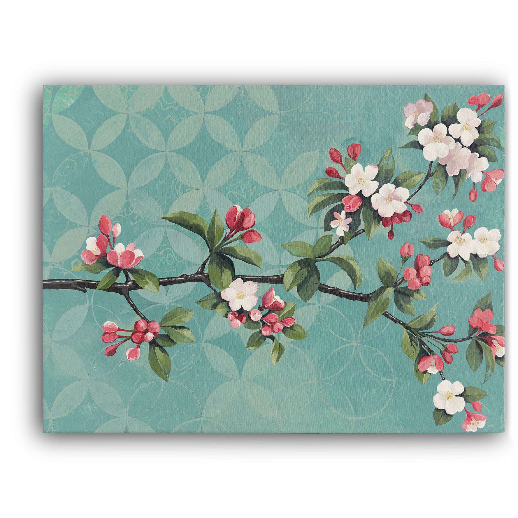 Cherry Blossoms