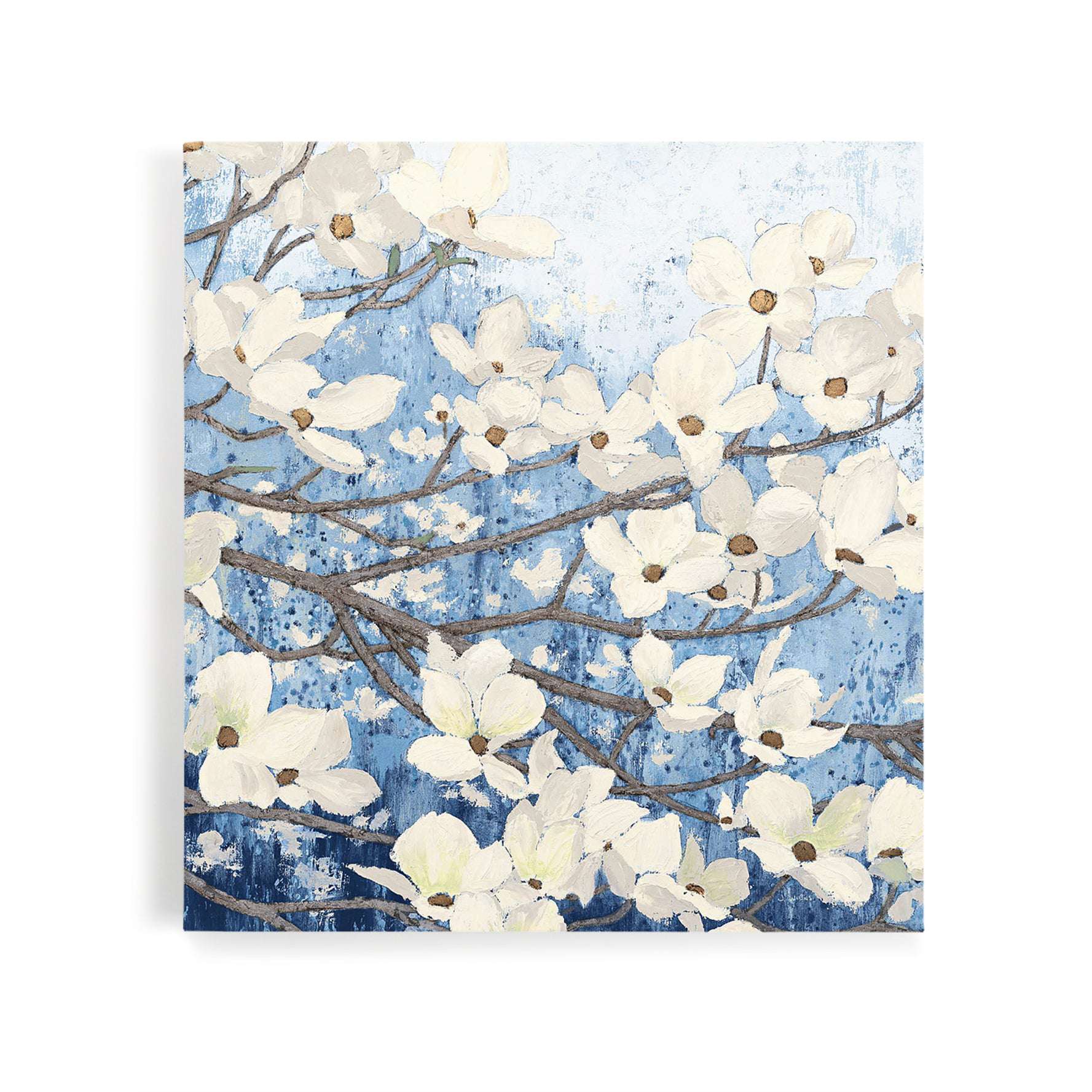 Dogwood Blossoms II