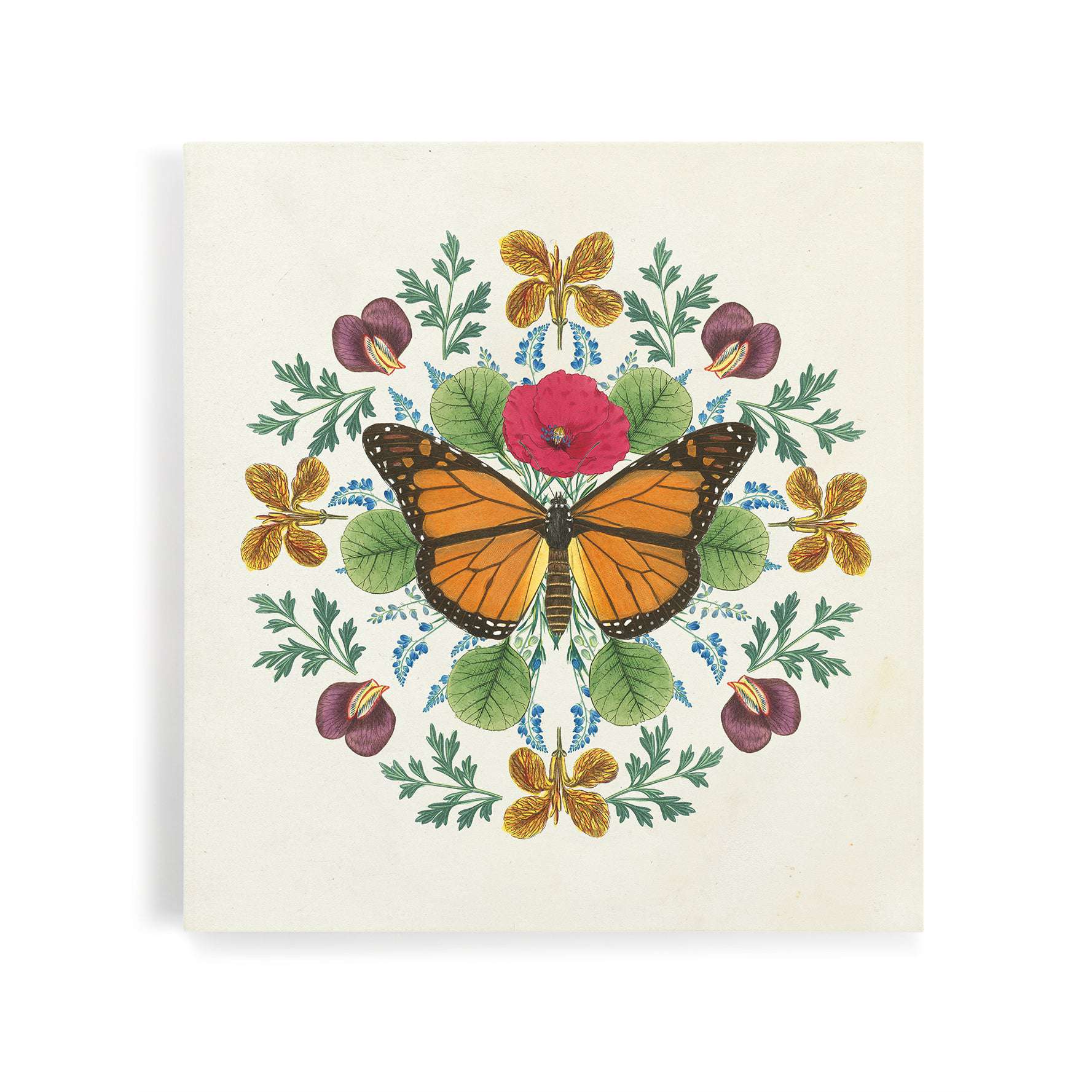 Butterfly Mandala I