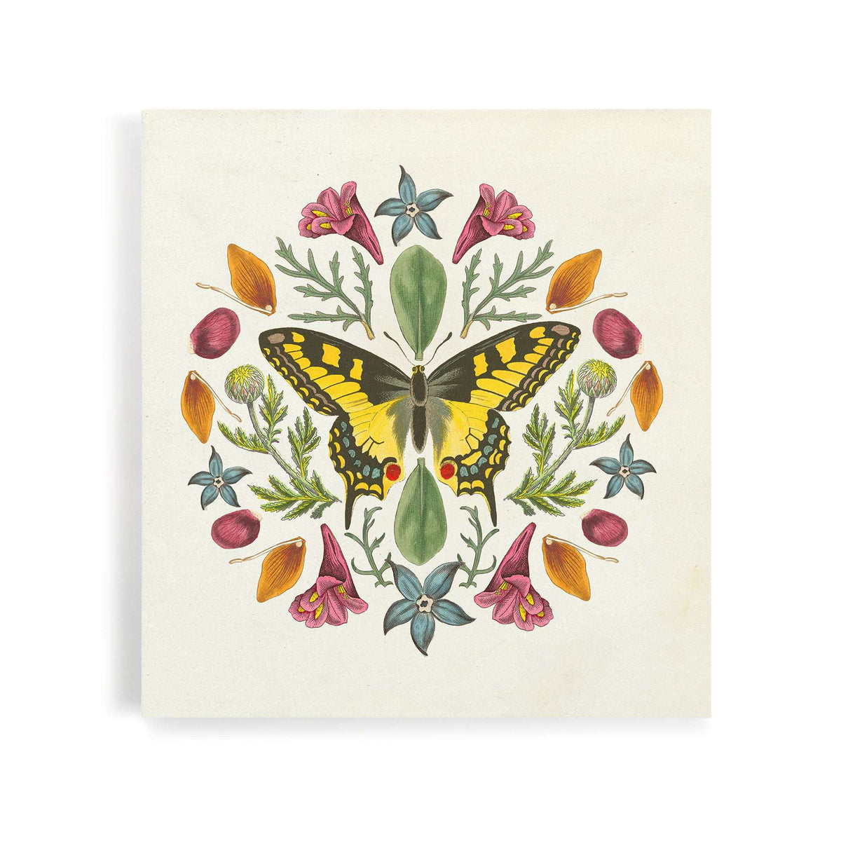 Butterfly Mandala III