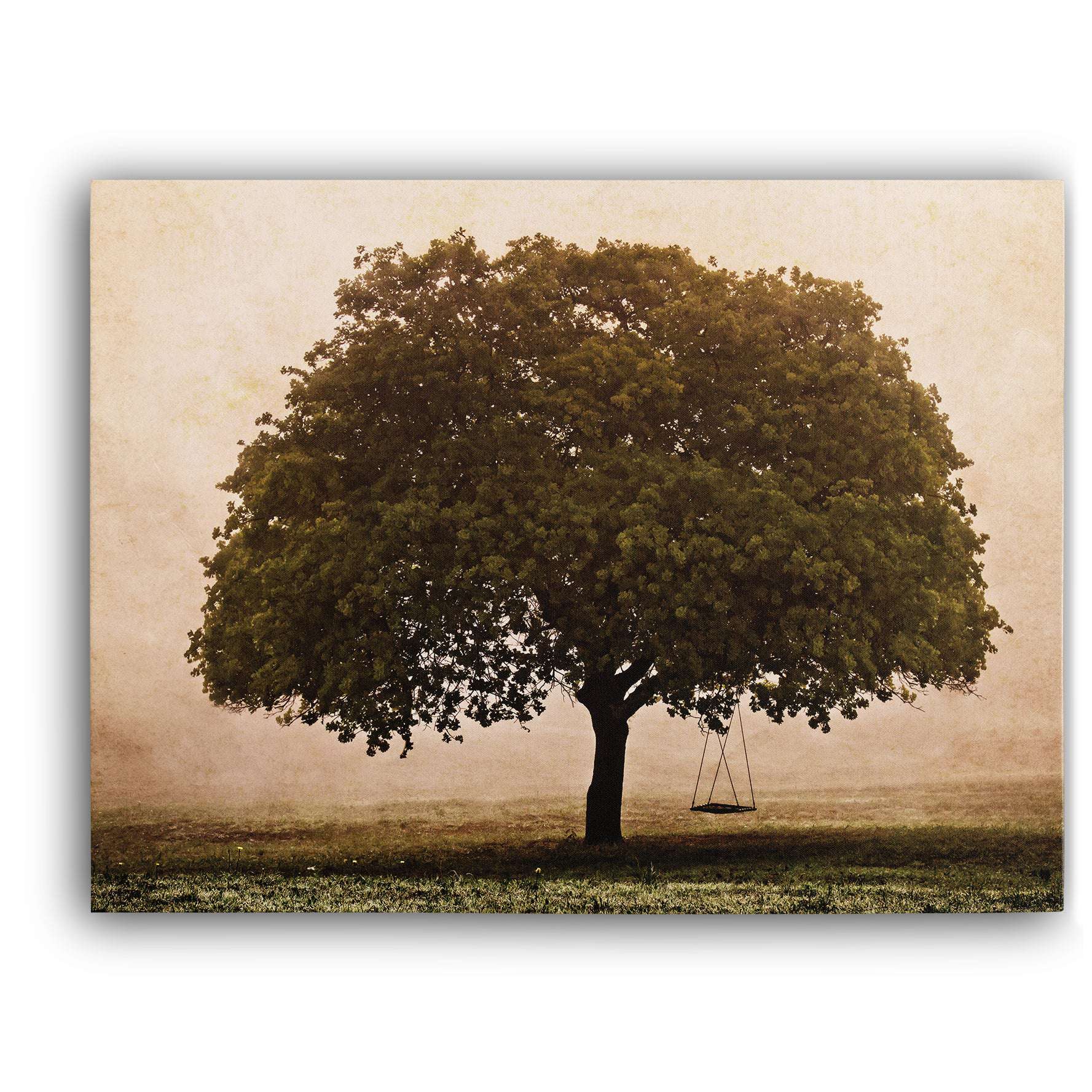 The Hopeful Oak