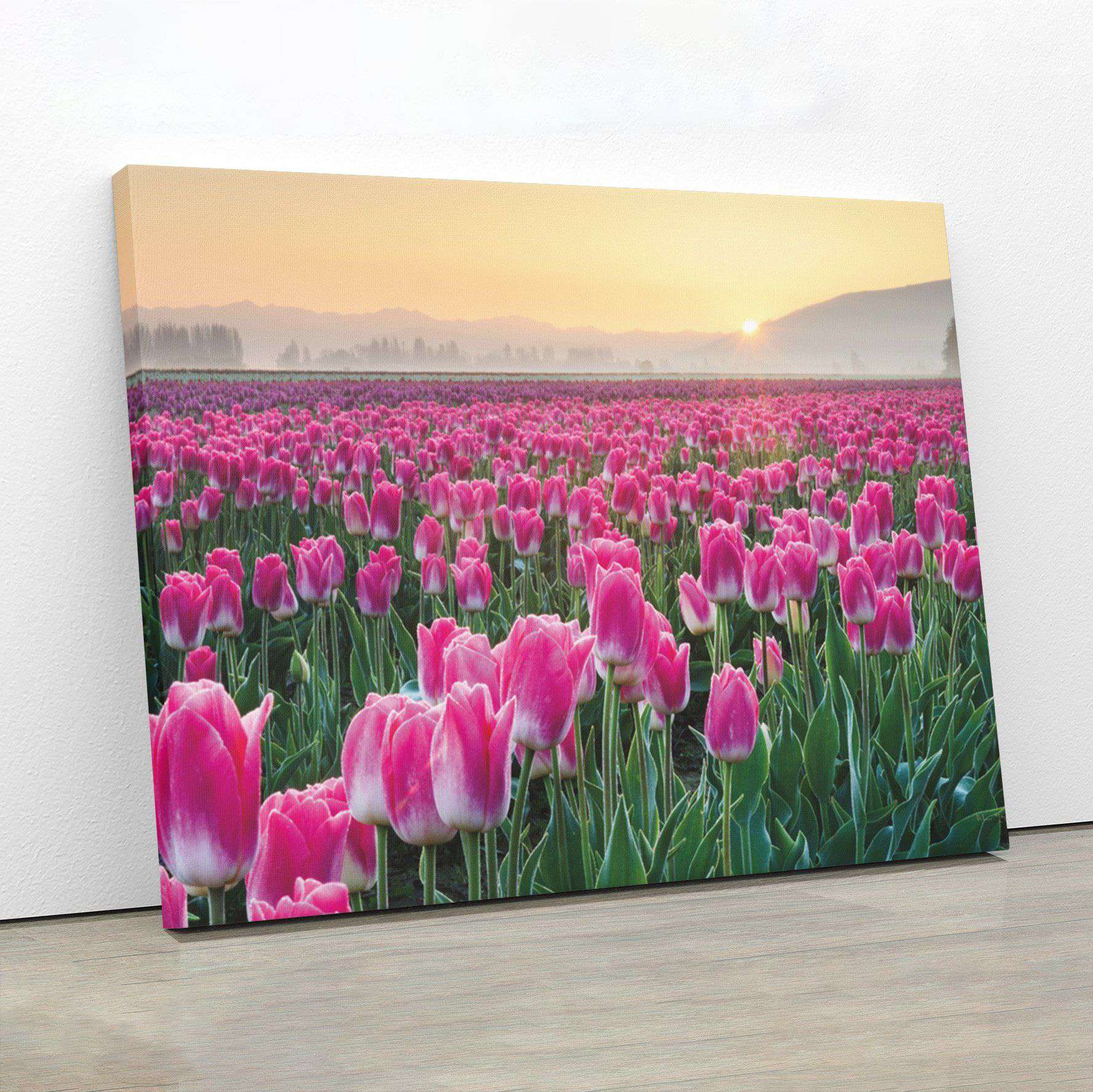 Skagit Valley Tulips I Canvas Wido 