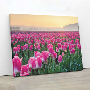 Skagit Valley Tulips I Canvas Wido 