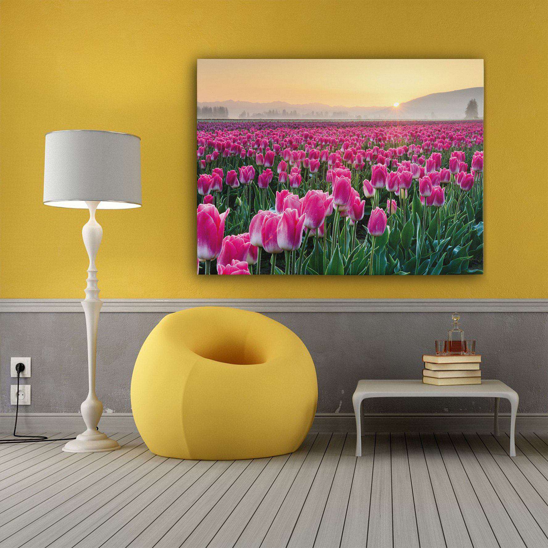 Skagit Valley Tulips I Canvas Wido 