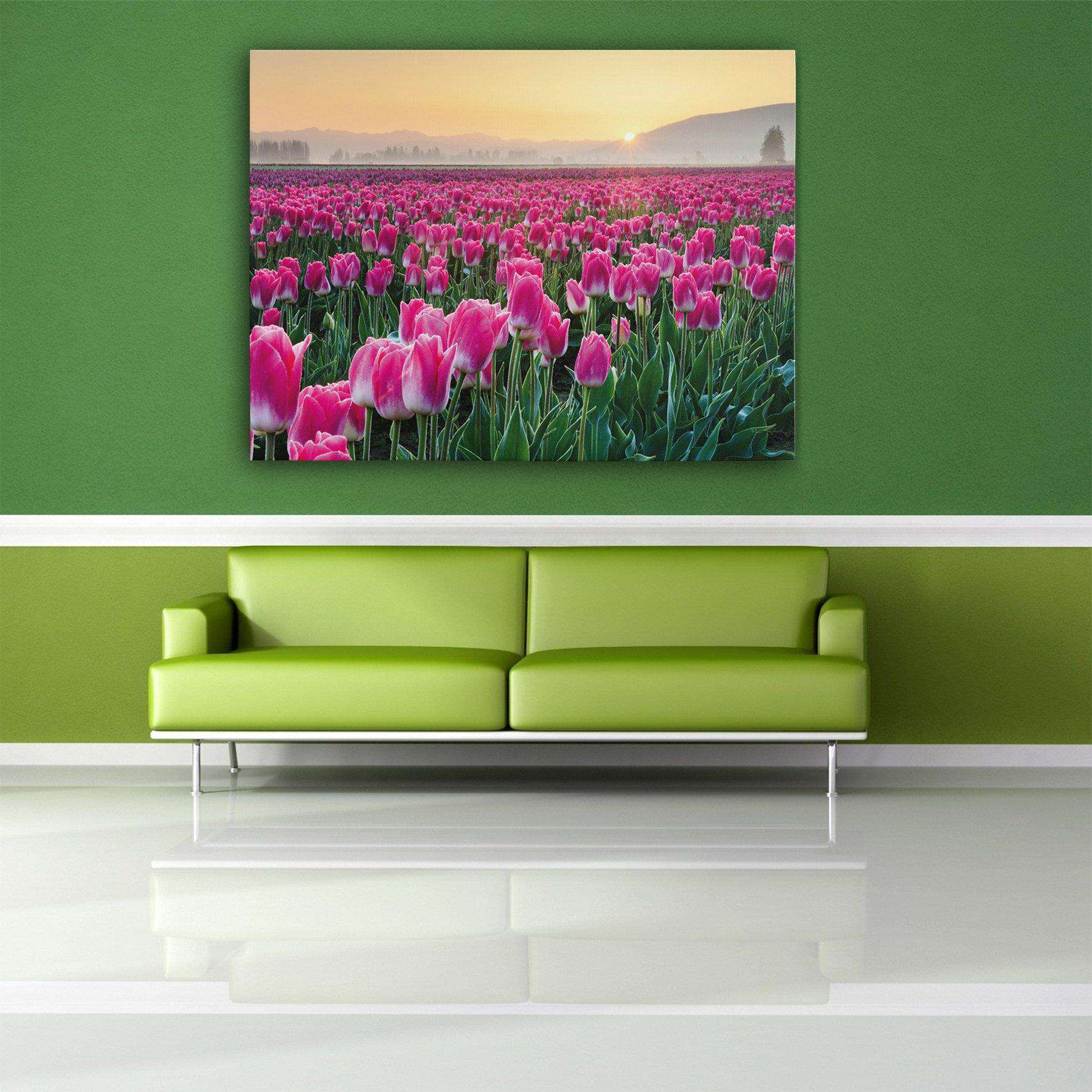 Skagit Valley Tulips I Canvas Wido 