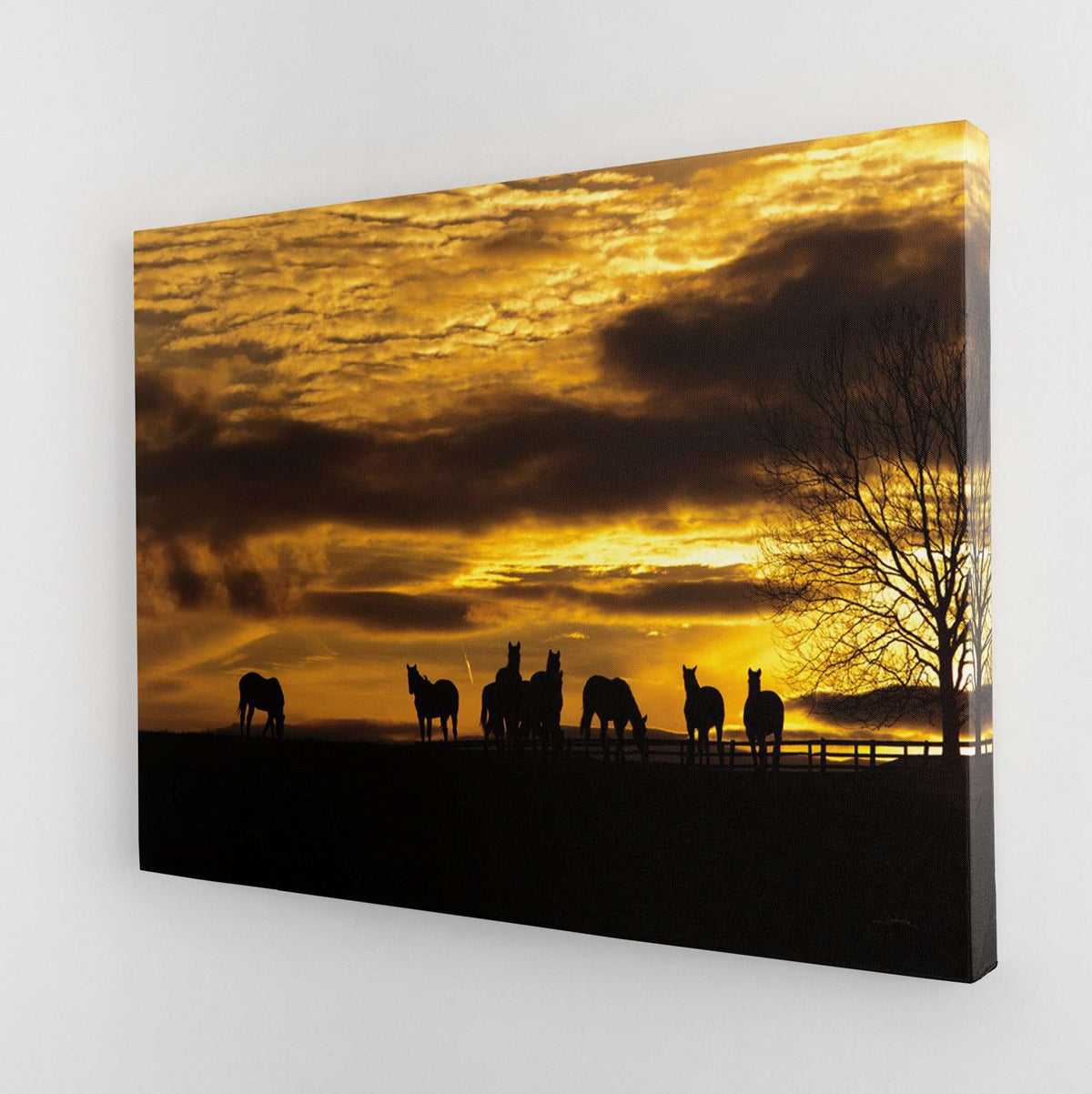 Horses At Sunset Canvas Wido 
