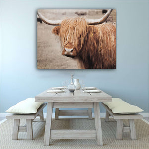 Scottish Highland Cattle I Canvas Wido 