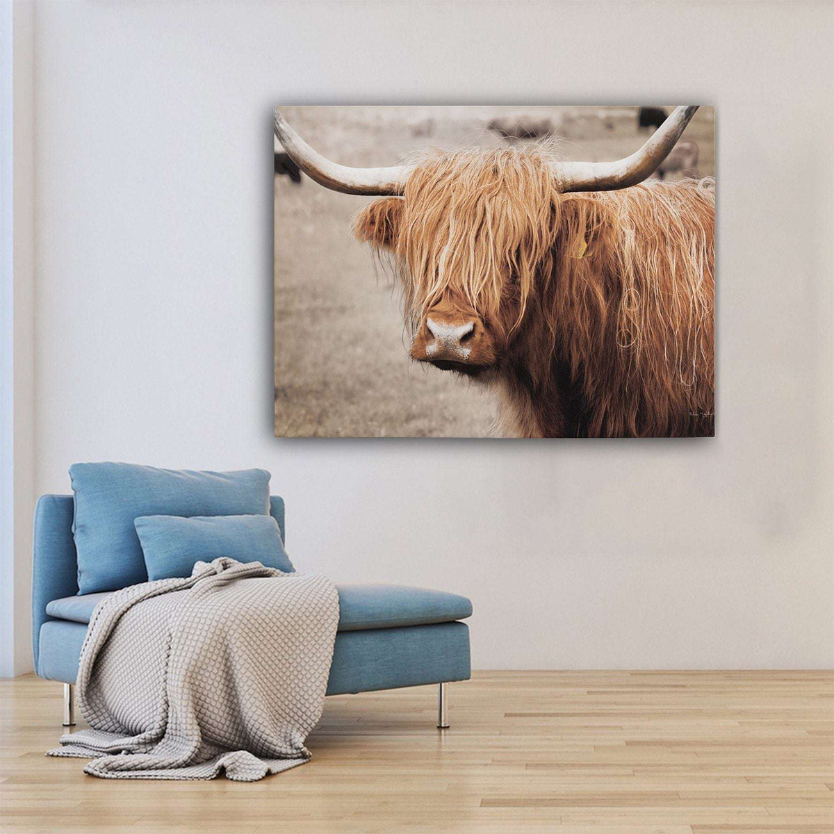 Scottish Highland Cattle I - Magna Canvas