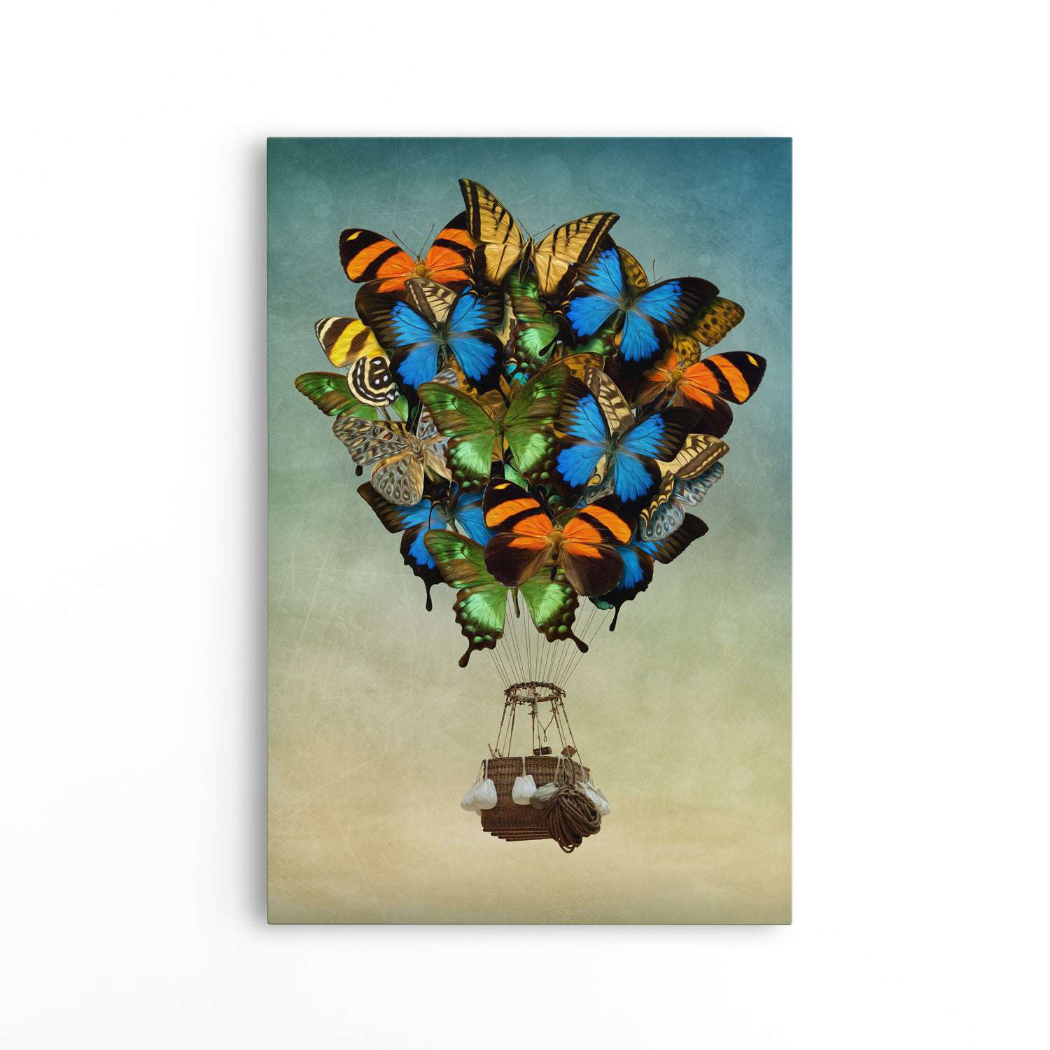 Butterfly Balloon - Magna Canvas