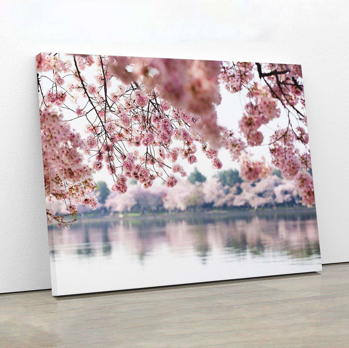 Cherry Blossoms Canvas Magna Canvas 