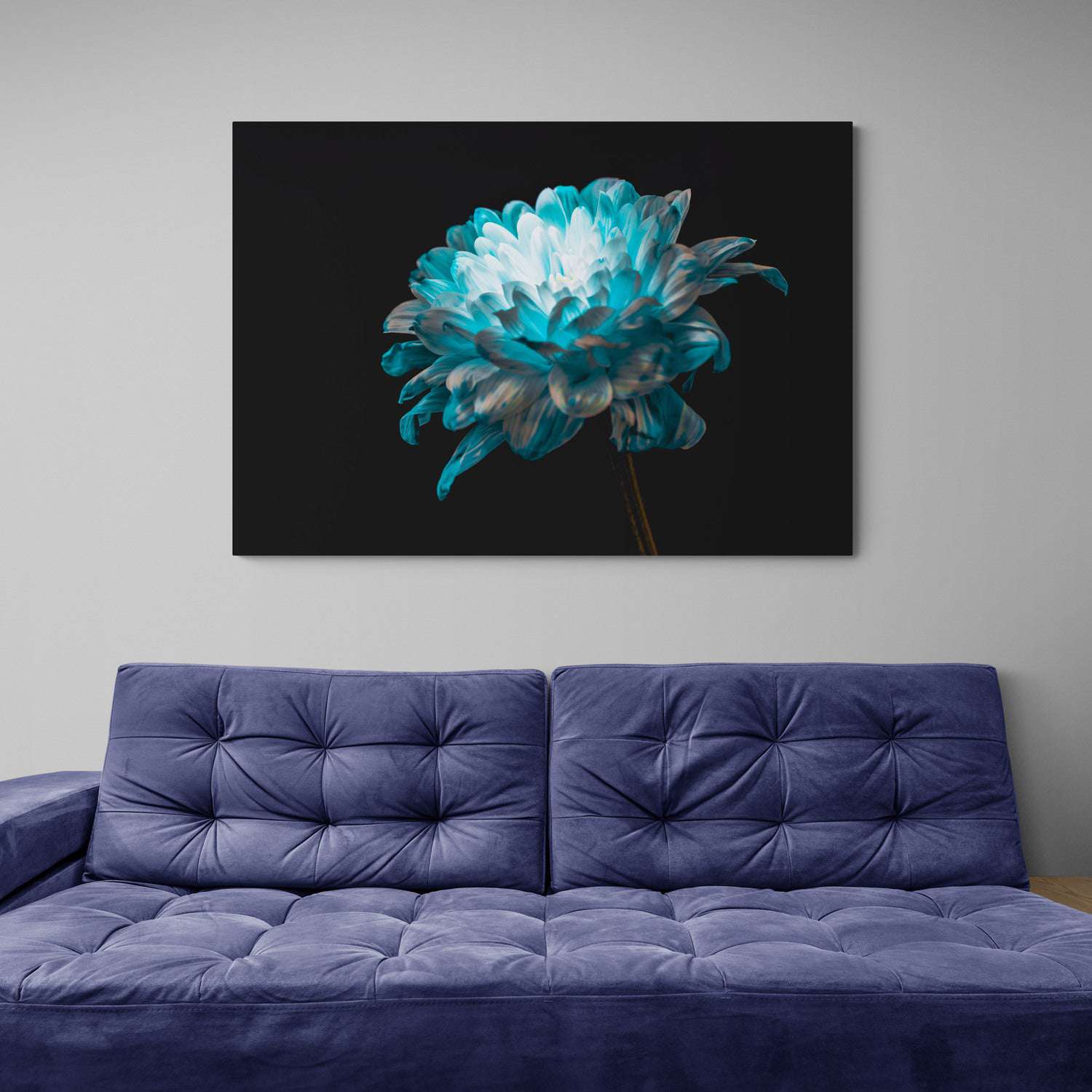 Blue and White Daisy