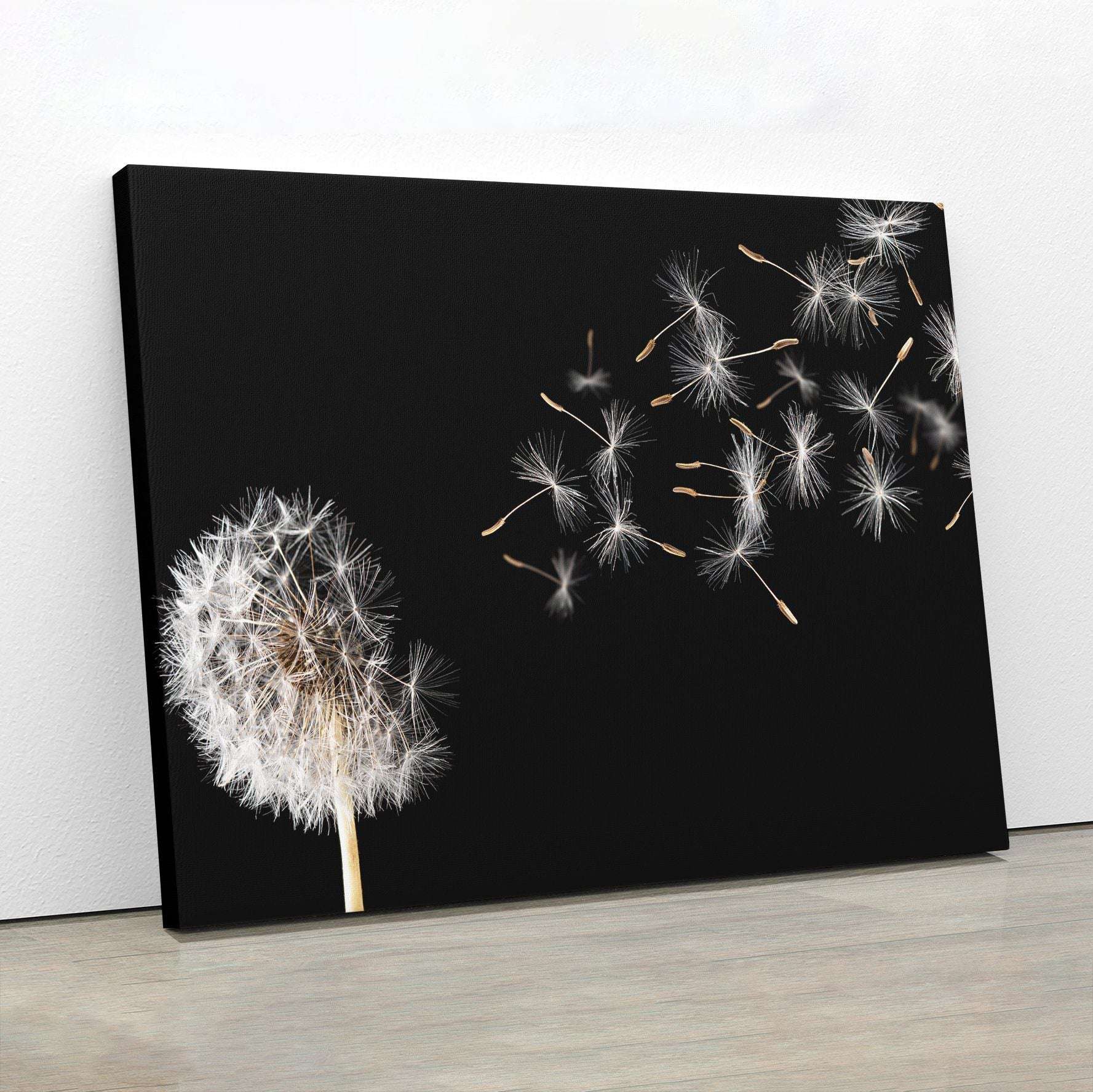 Dandelion On Black Background Canvas Magna Canvas 