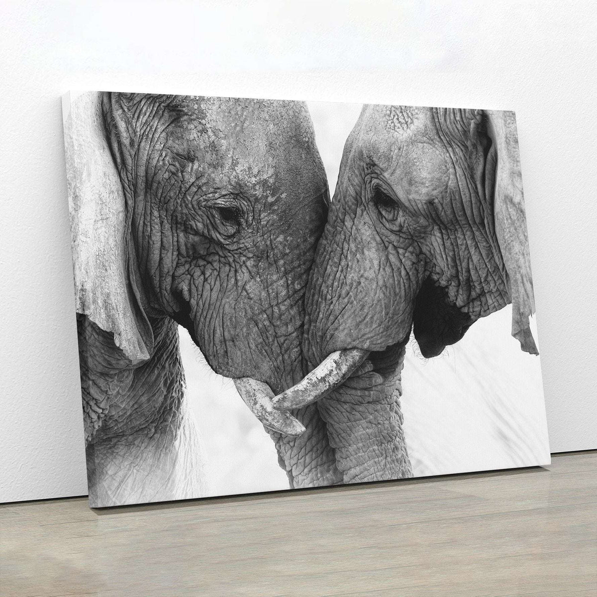 Elephant Touch Canvas Magna Canvas 
