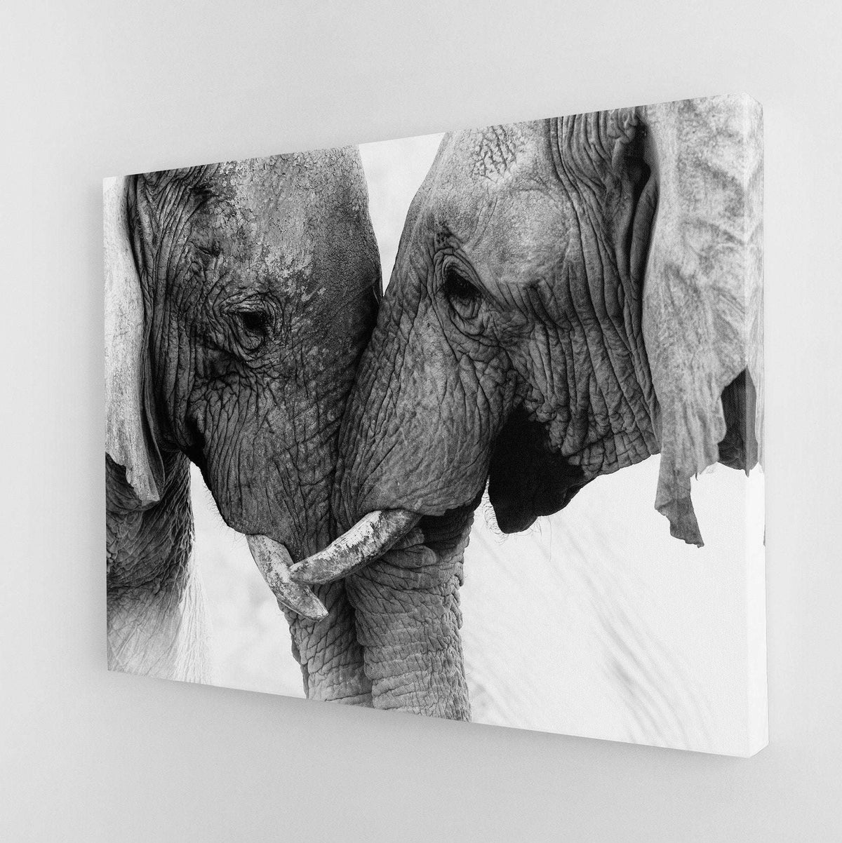 Elephant Touch Canvas Magna Canvas 
