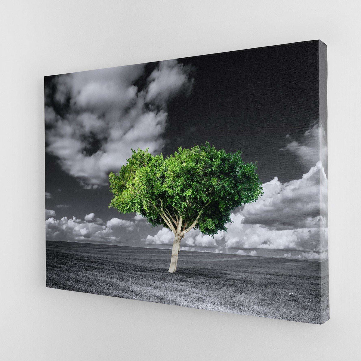 Green Tree Canvas Wido 