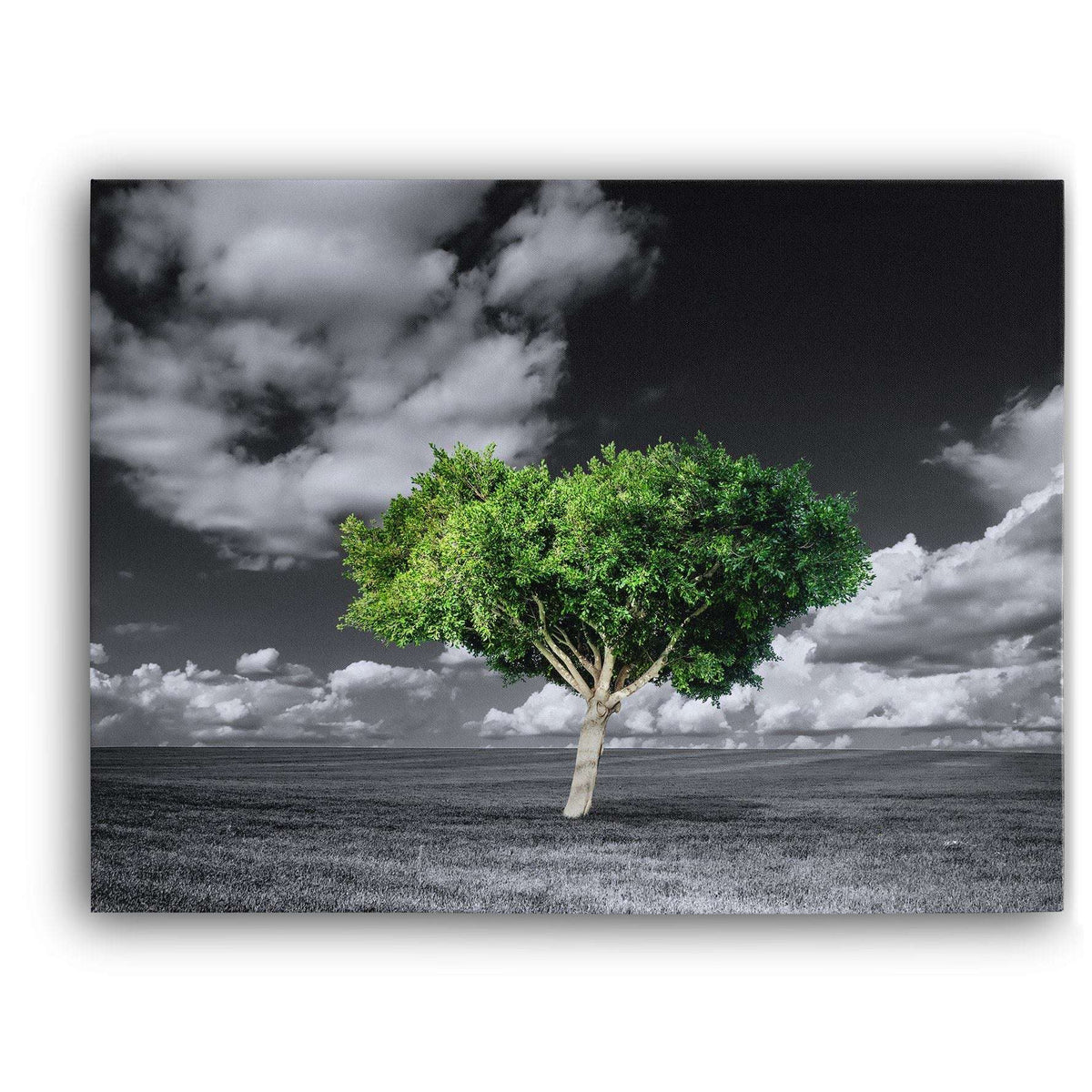 Green Tree Canvas Wido 
