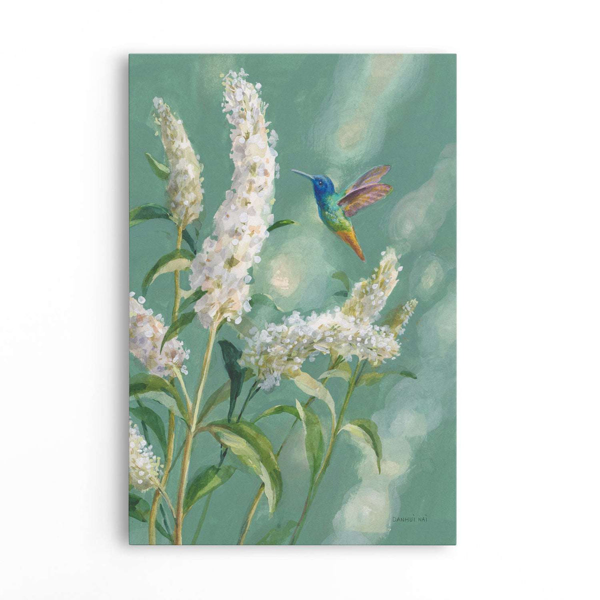 Hummingbird Spring II