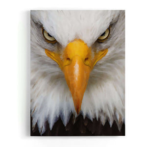The Eagle Canvas Wido 