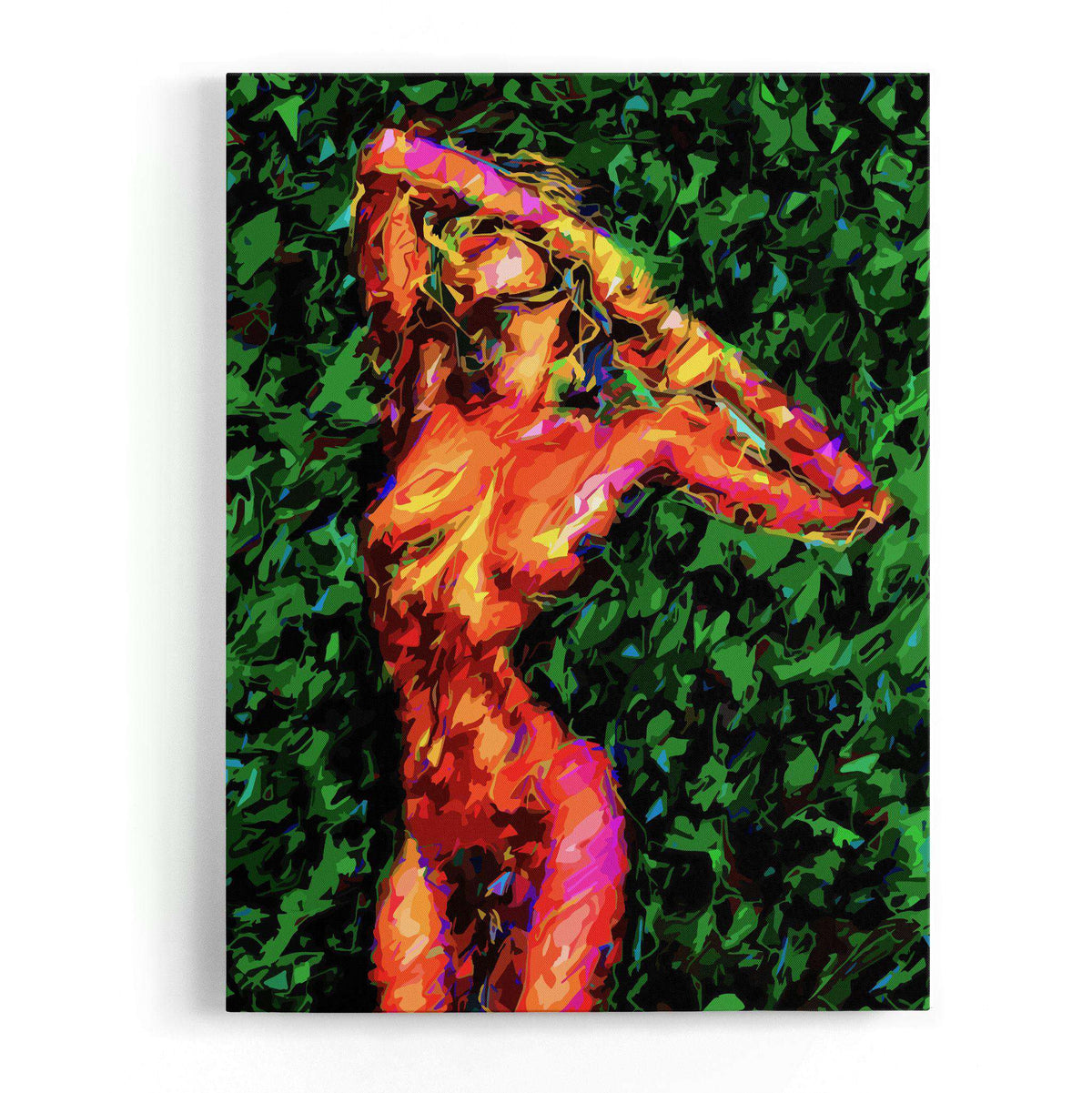 Abstract Nude I Canvas Wido 