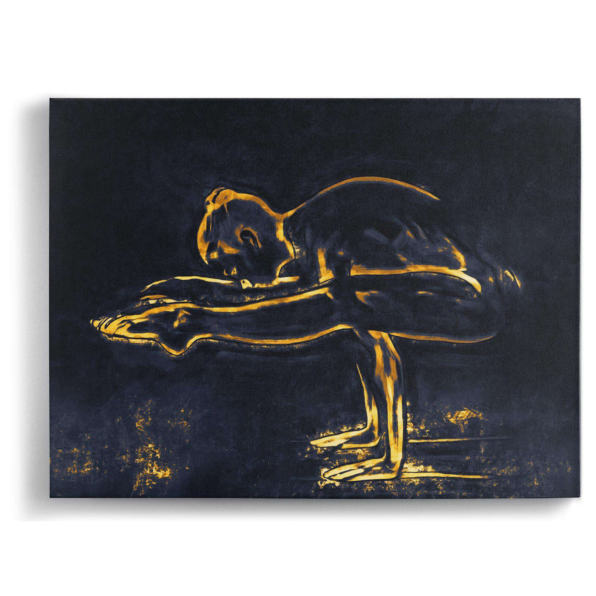 Tittibhasana Canvas Wido 