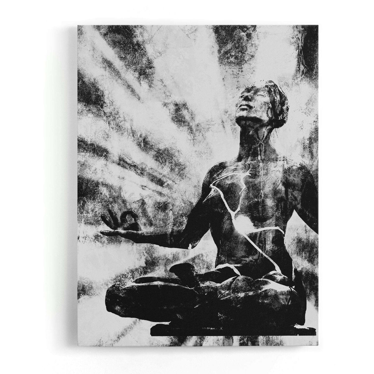 Liberation Canvas Wido 