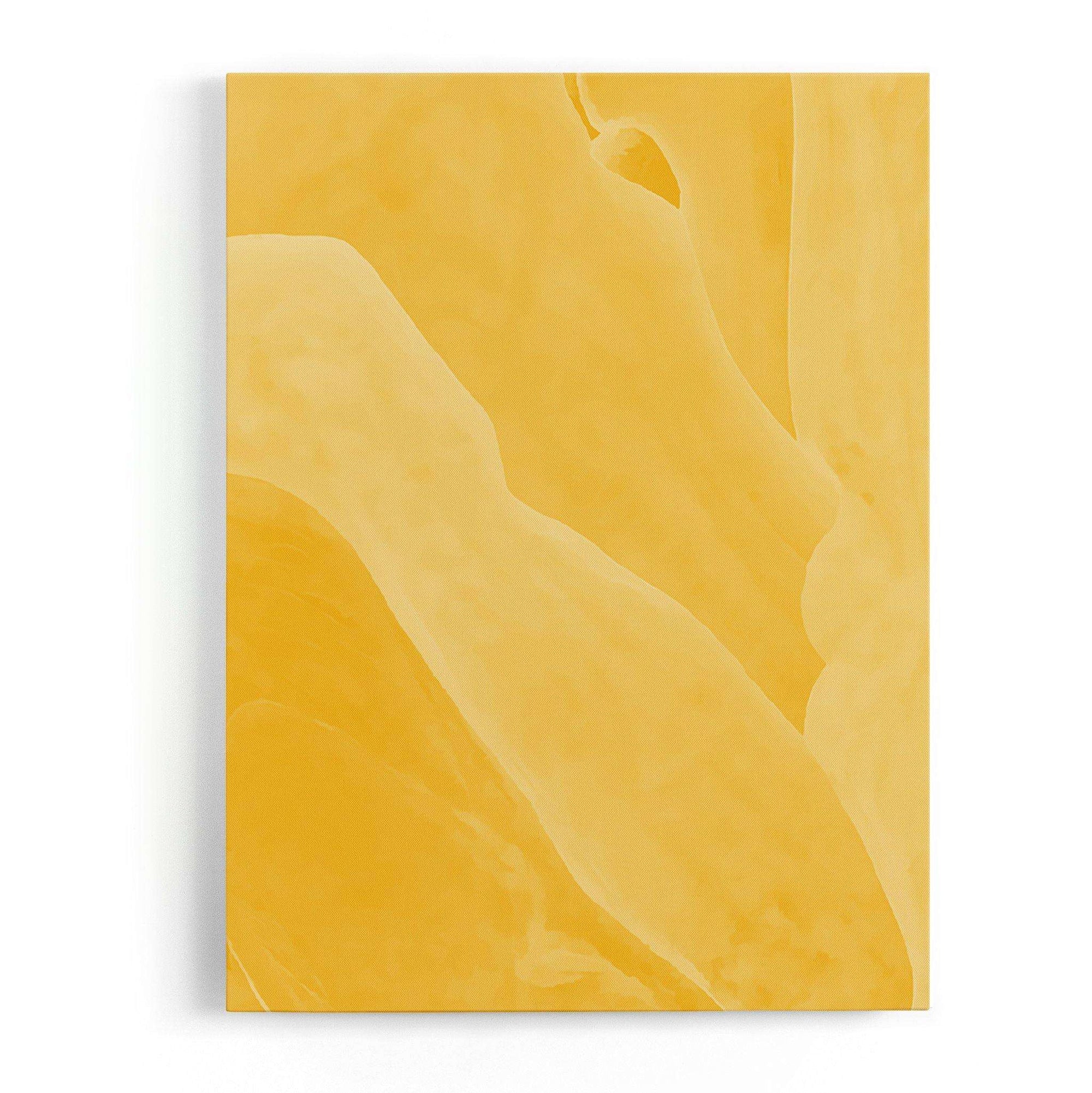 Bright Abstract Canvas Wido 