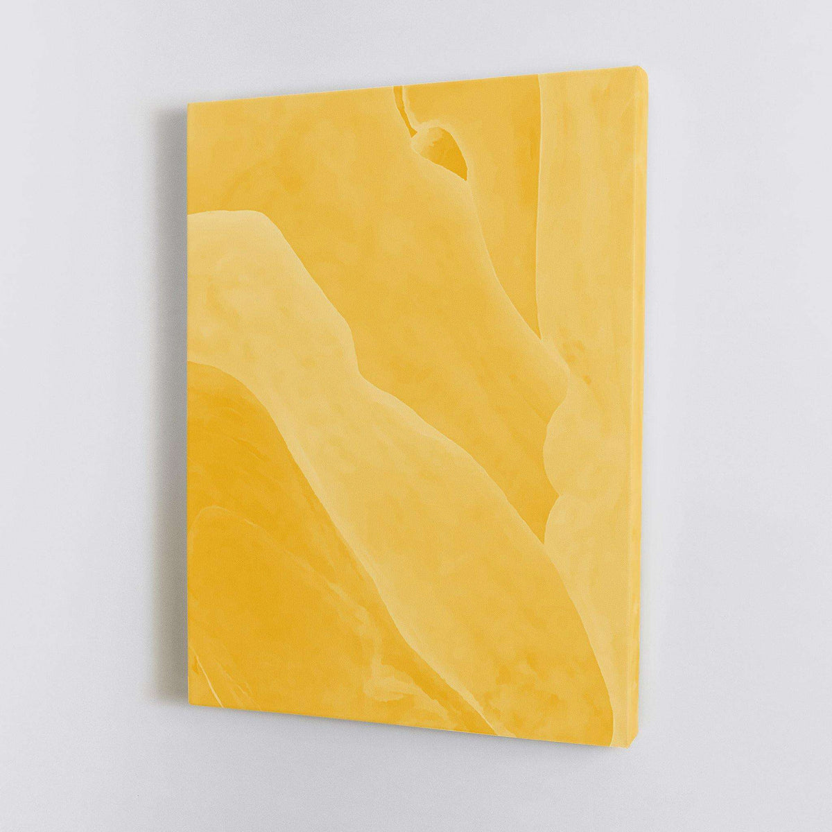 Bright Abstract Canvas Wido 