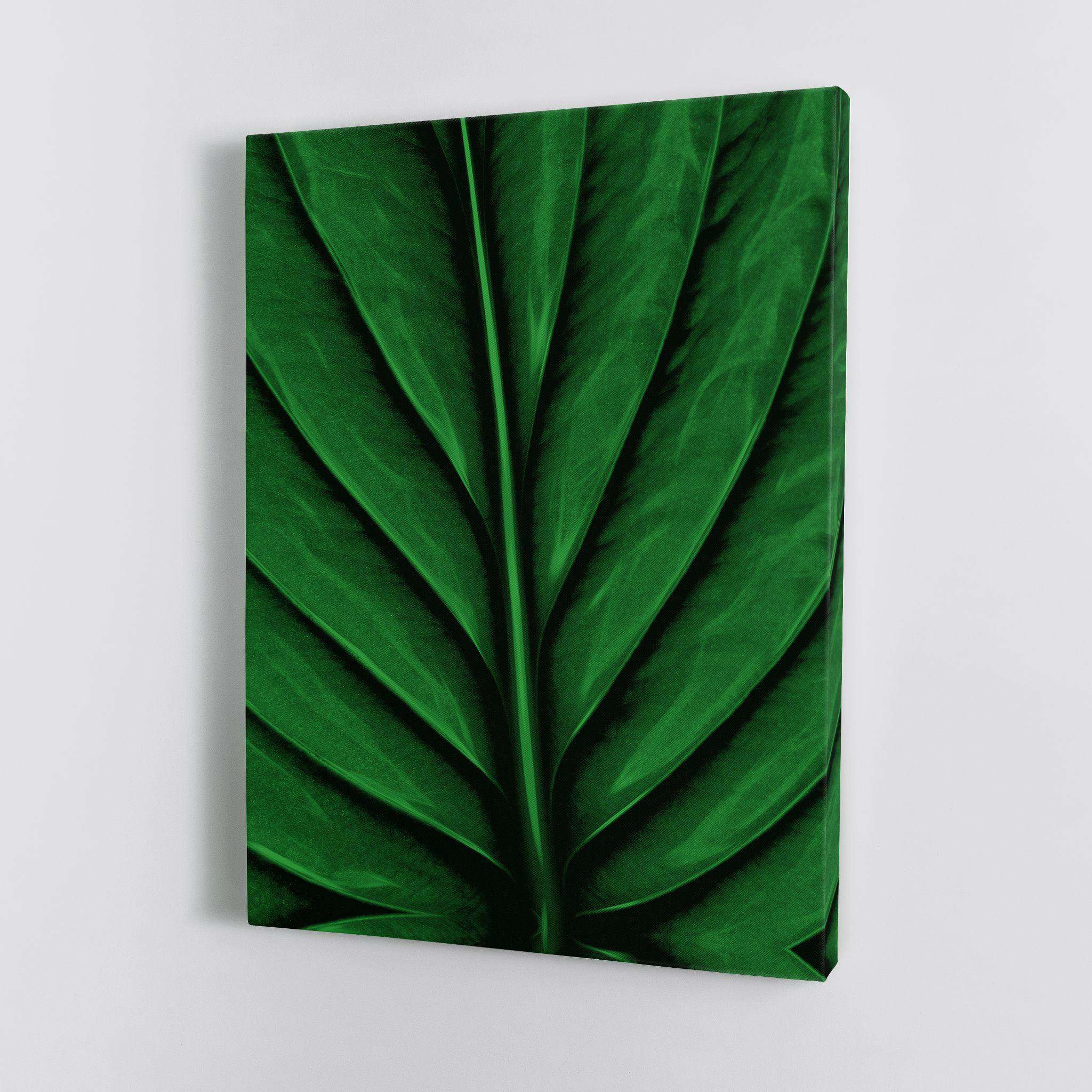 A Leaf Canvas Wido 