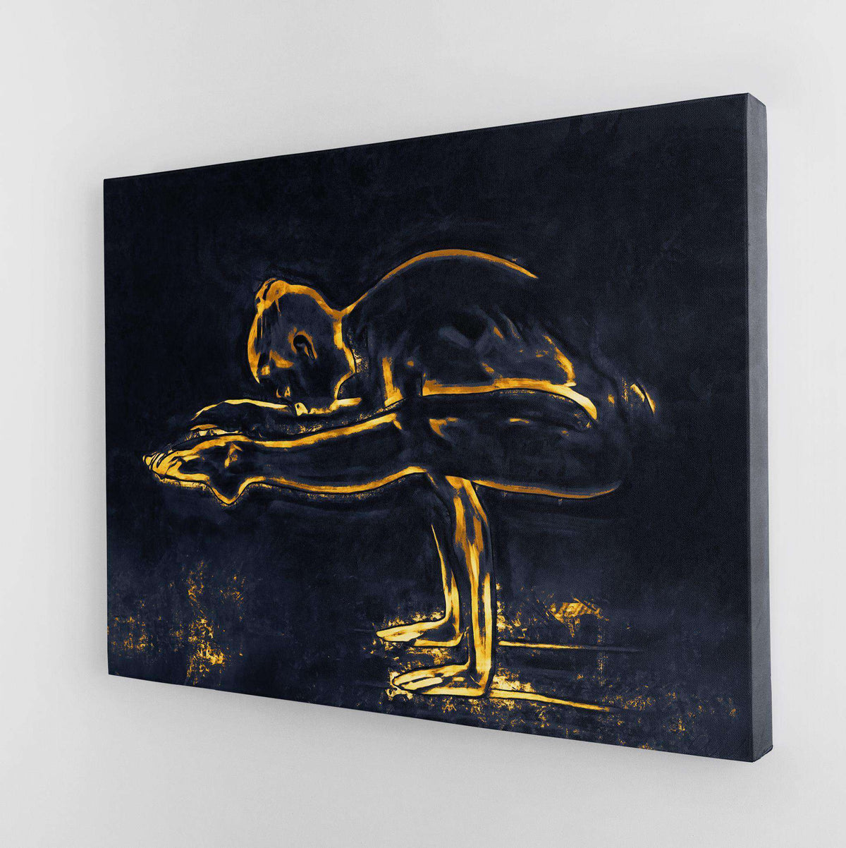 Tittibhasana Canvas Wido 