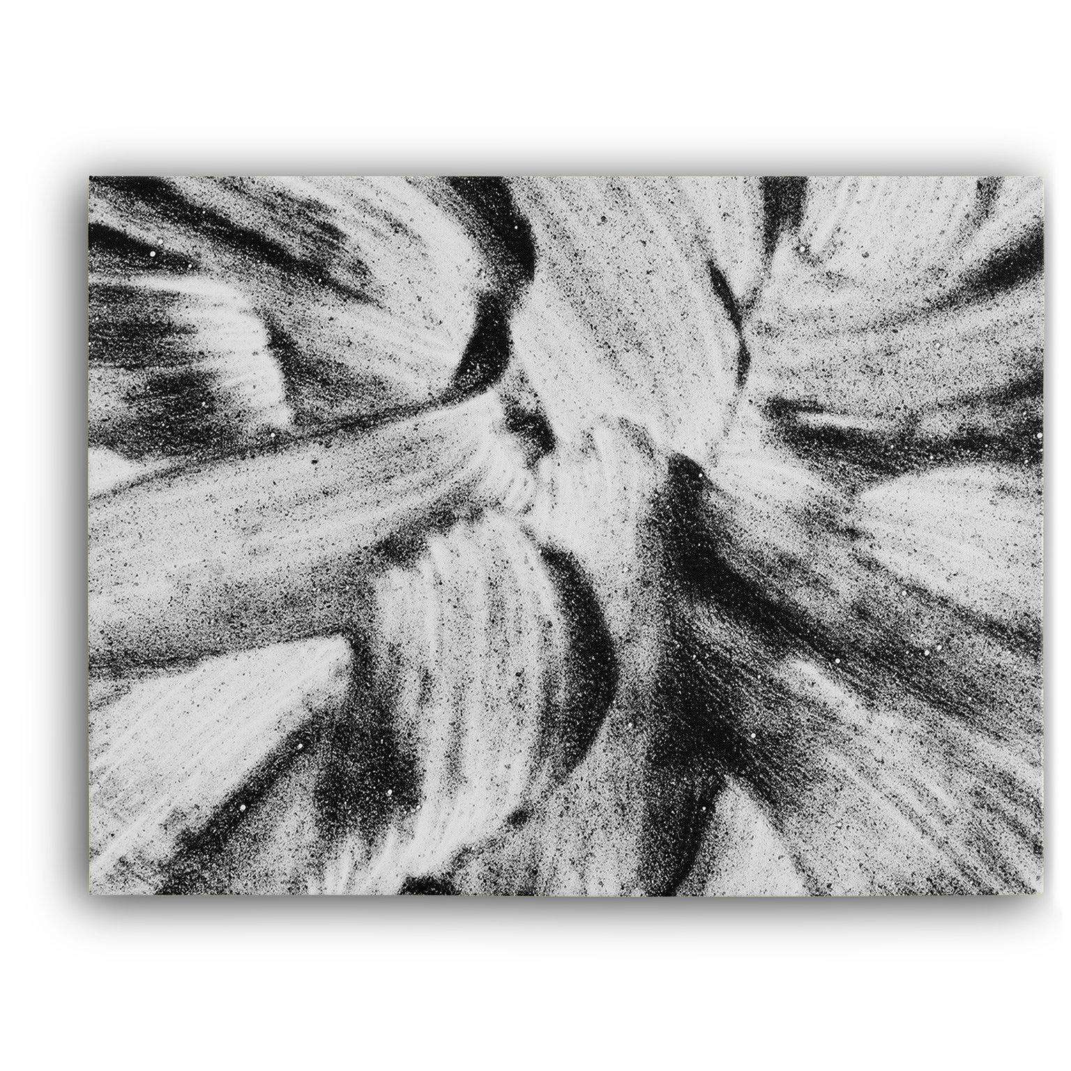 Black & White Flower Canvas Wido 