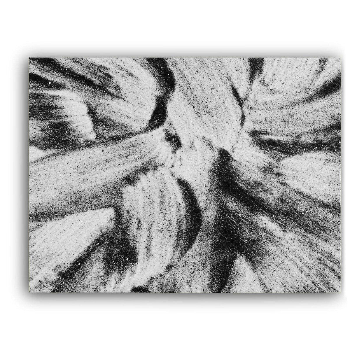 Black &amp; White Flower Canvas Wido 