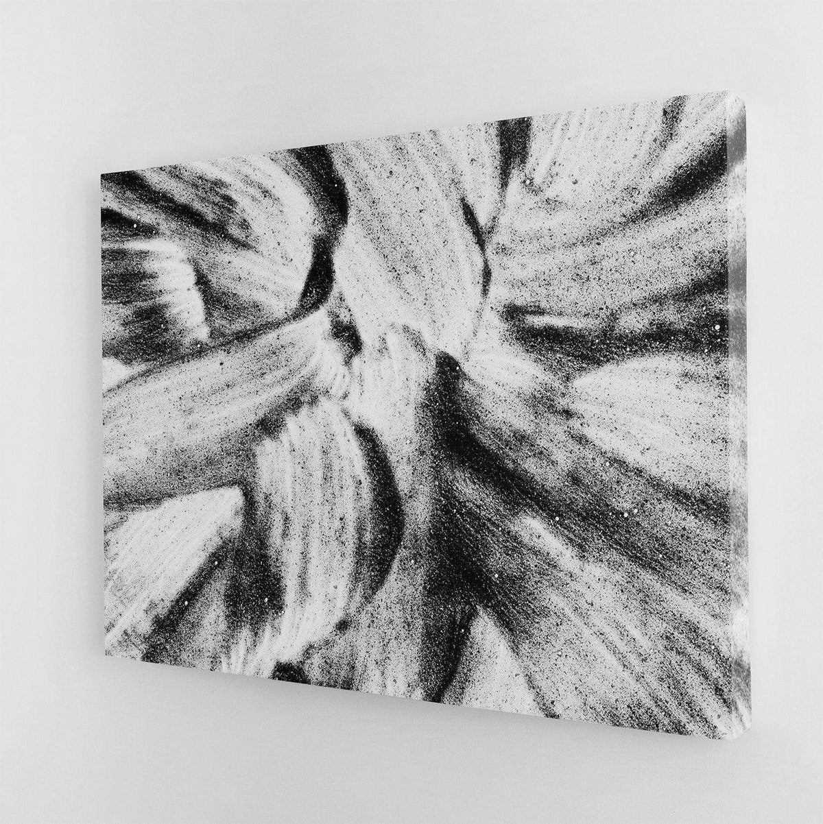 Black &amp; White Flower Canvas Wido 