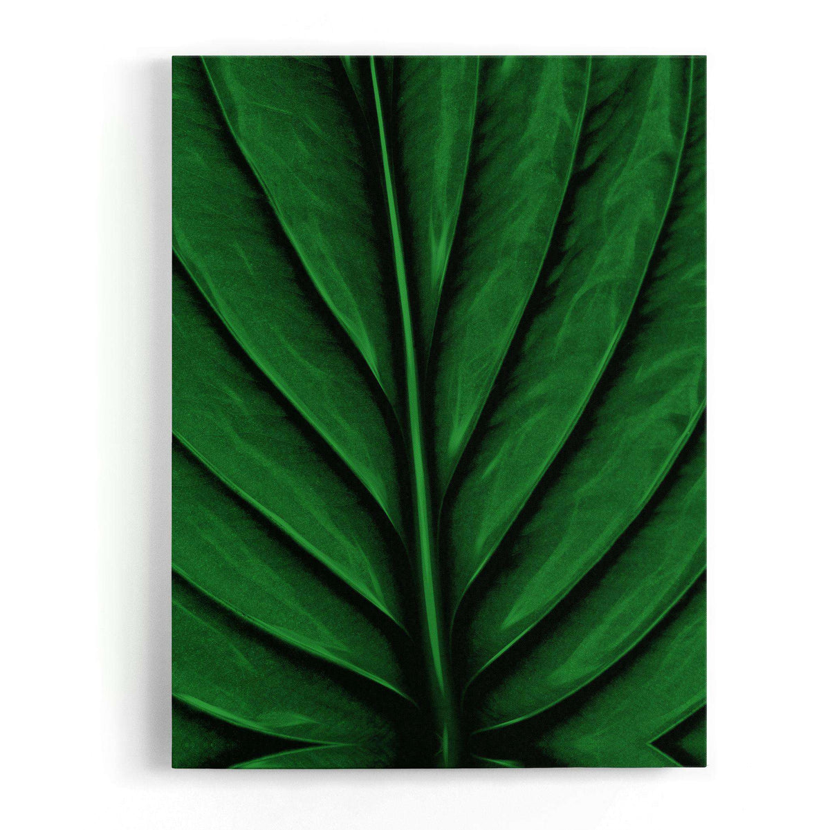 A Leaf Canvas Wido 