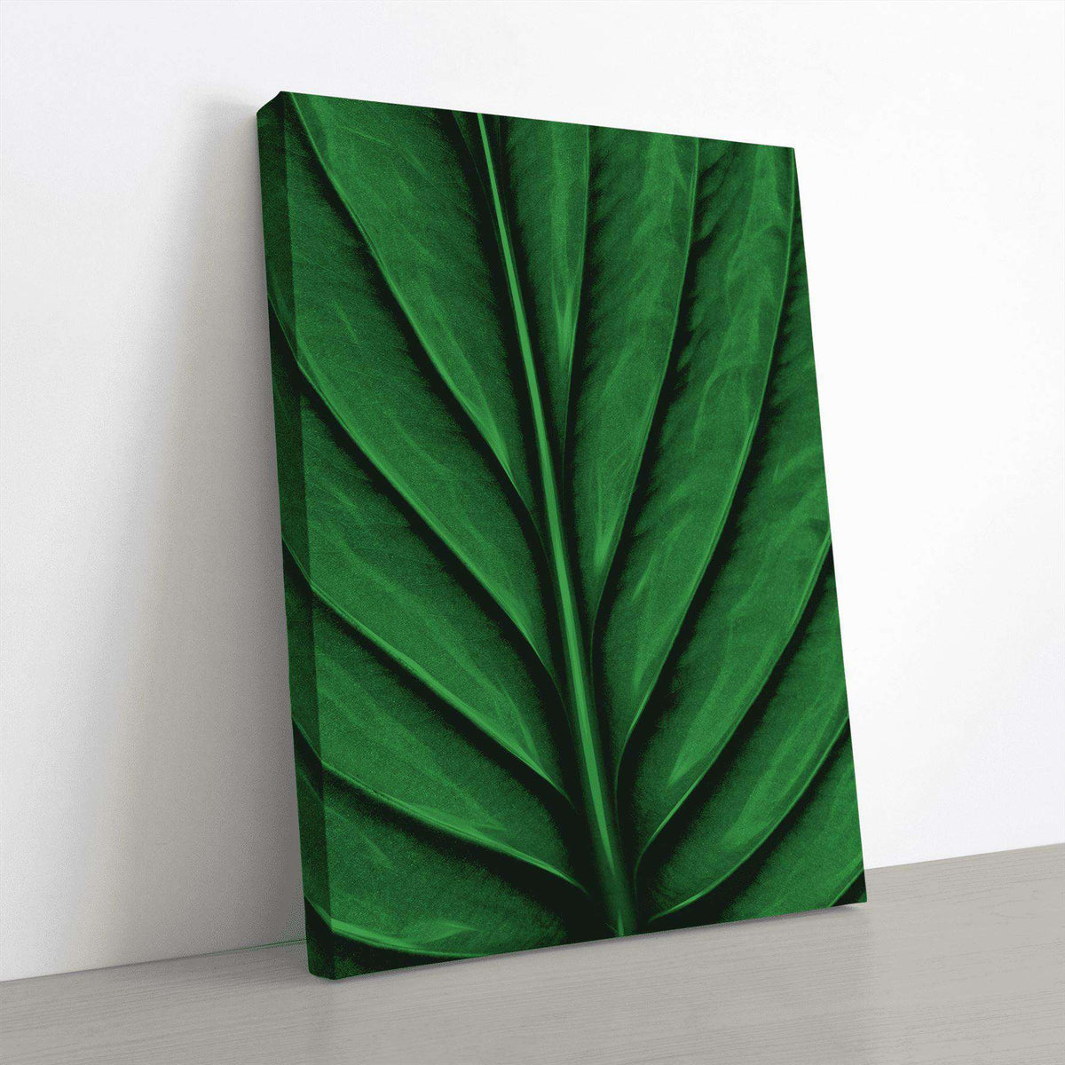 A Leaf Canvas Wido 