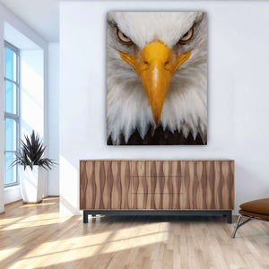 The Eagle Canvas Wido 