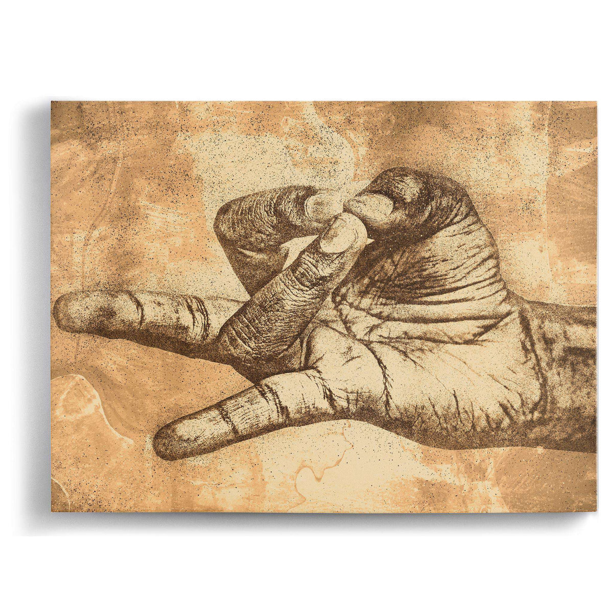 Rudra Mudra Canvas Wido 