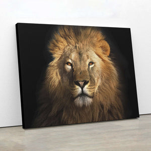 Lion King Canvas Magna Canvas 