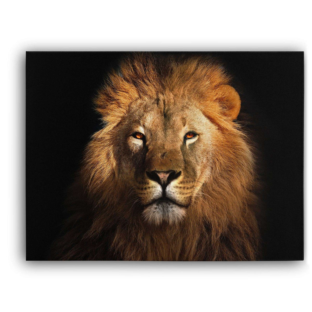 Lion King Canvas Magna Canvas 