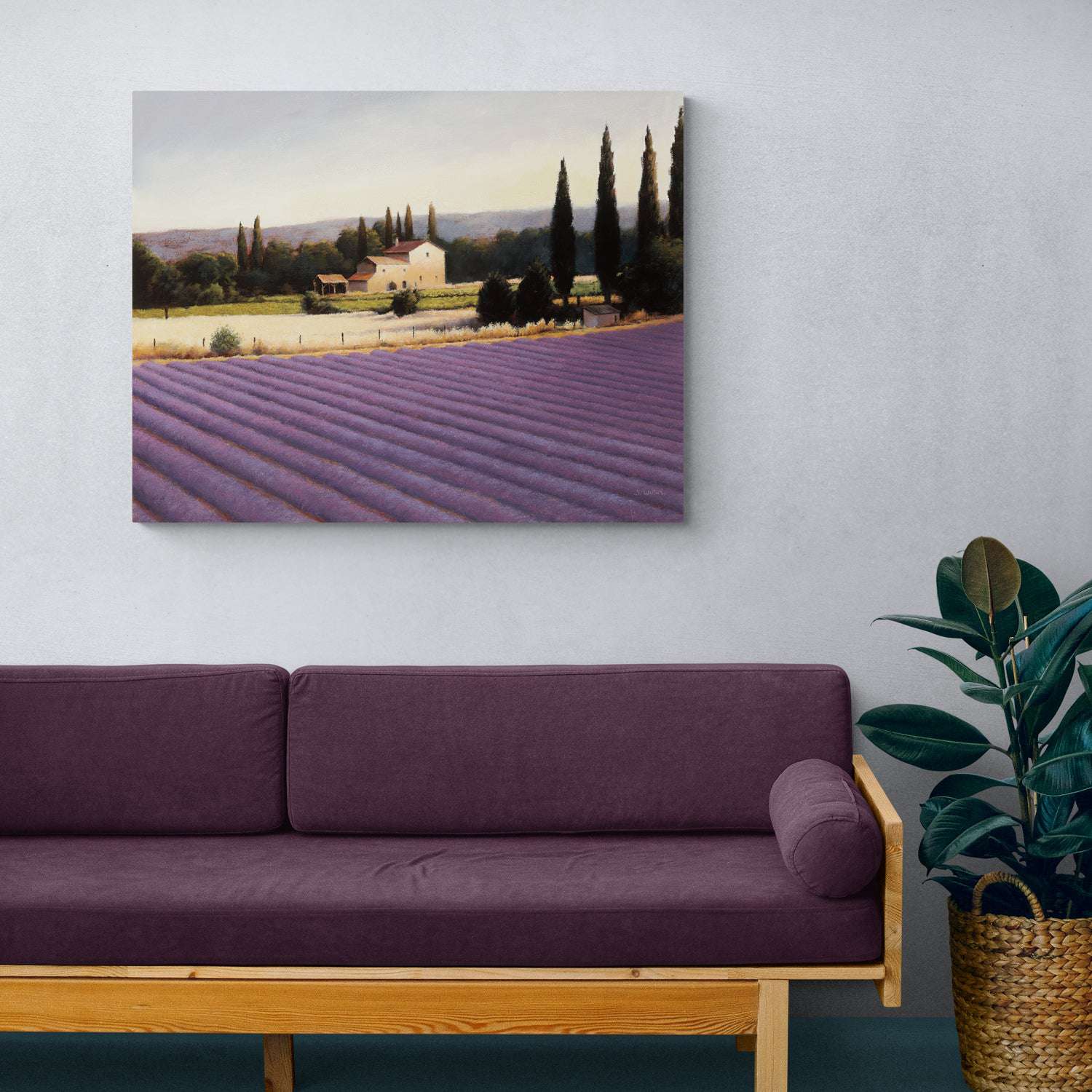 Lavender Fields