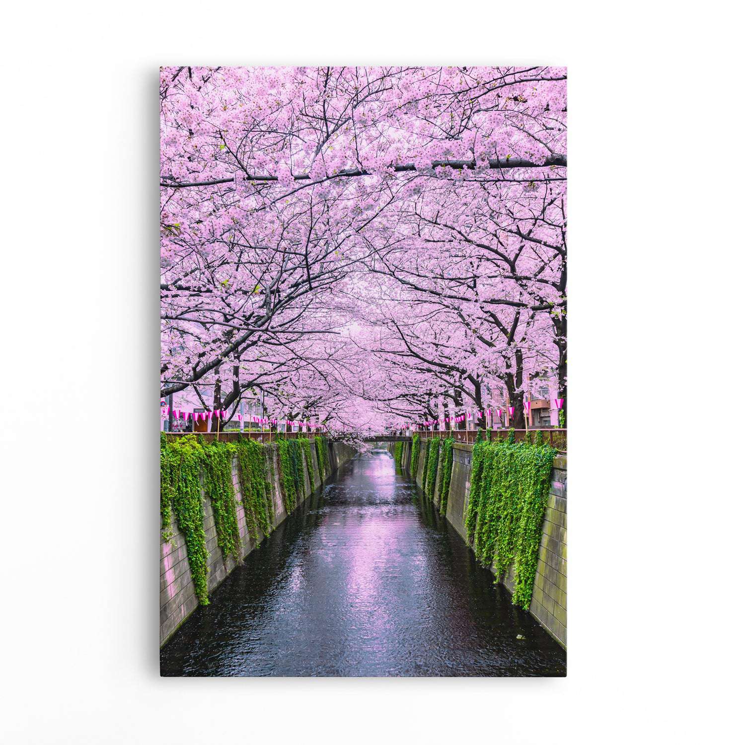 Meguro River