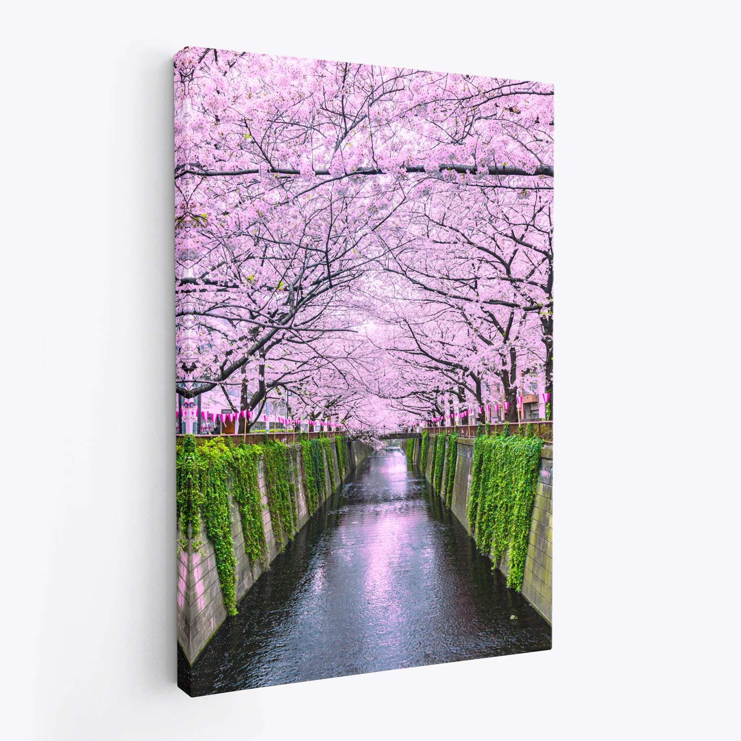 Meguro River